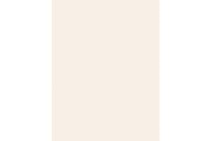 LUXPaper 8.5" x 11" Cardstock | Letter Size | Ivory | 65lb. Cover (120lb. Text) | 50 Qty