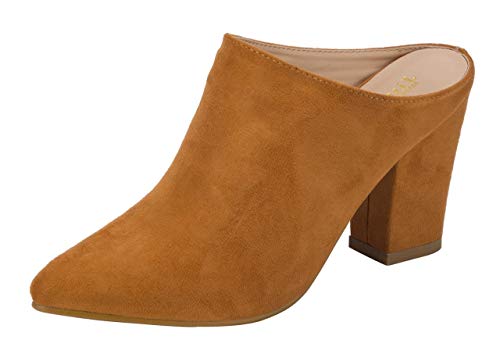 pointed toe block heel mules