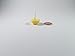 Swaha Easy Diya ghee Wicks/Diya batti with, 30 Pieces, 30 min Burning time, Wax Free, clarified Butter Wicks for Puja, Yoga & Meditation
