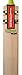 Gray-Nicolls Powerbow GN+ English Willow Cricket Bat, Full Size SH