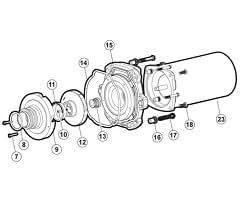 Amazon.com : Hayward TriStar Pump Replacement Parts 1-1/2