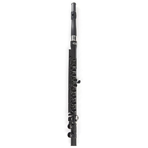 NUVO-Student-Flute-schwarz-silber-Stimmung-C