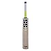SS T20 Storm Kashmir Willow Cricket Bat with Tennis Cricket Ball and Bat Face Tape (Bat Cover Included) : 2019 Edition (T20 Storm)