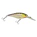 Berkley Flicker Shad Fishing Lure, Purple Tiger, 5/16 oz, 2 3/4in | 7cm Crankbaits, Size, Profile and Dive Depth Imitates Real Shad, Equipped with Fusion19 Hook