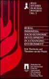 Rural Indonesia : Socio-Economic Development in a Changing Environment, Thorbecke, Erik and Van der Pluijm, Theodore, 0814781977