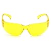 Pyramex-Intruder-Safety-Eyewear