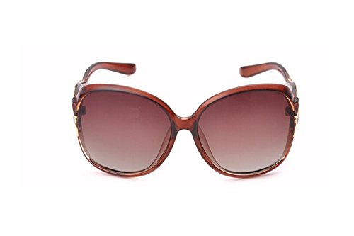 Darkey Wang Women's Oversized Polarized Sunglasses Vintage Classic Fashion Sunglasses