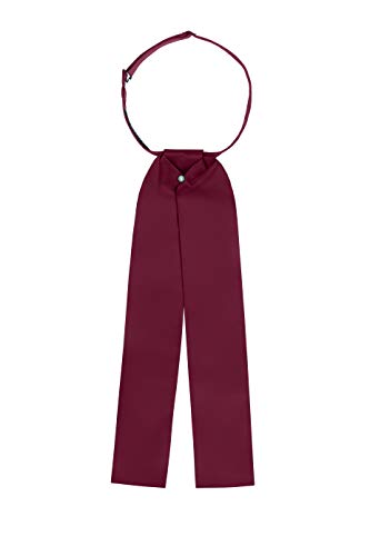 Men's Ascot Tie (Burgundy)