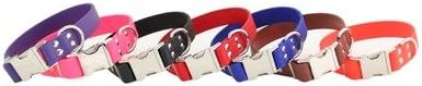 Sparky's Choice Dog Collar Color: Black, Size: 1" x 18"