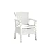 Suncast Elements Dining Chair with Storage - Lightweight, Resin, All-Weather Outdoor Storage Chair - Wicker Patio Decor with Built in Storage Capacity up to 6.3 lbs. - White