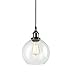 CLAXY Ecopower Lighting Vintage Clear Glass Shade Pendant Lighting--1 Light