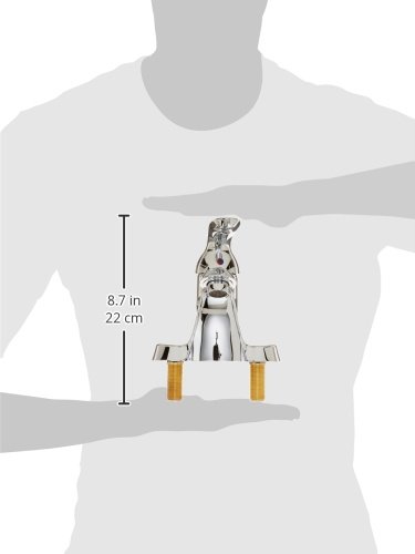 Phoenix S1205-I Chrome Single Lever Bathroom Faucet