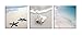 Yang Hong Yu - Canvas Prints Seaside Beach Photos on Canvas Wall Art Stretched and Framed Modern Decor Paintings Giclee Artwork for Home Decoration 30x30cm