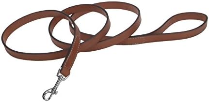 Coastal - Circle T - Oak Tanned Leather Dog Leash, Tan, 5/8" x 04'