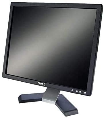 Dell 19in XGA Flat LCD Monitor VGA DVI Ports Grade A