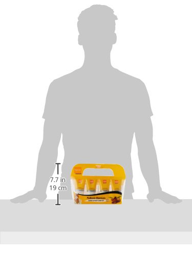 Vlcc Pedicure And Manicure Kit