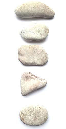 2 Capcouriers+Abstract+Violet+Light+Painting