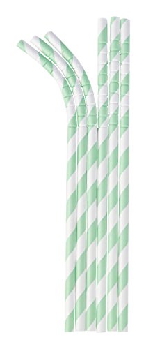 Aardvark Straws 61780163RET Paper Drinking Straws, Mint Green Stripe (24 Count Pack)