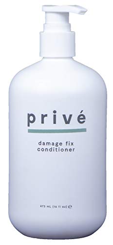 PrivÃ© Damage Fix Conditioner (16 Fluid Ounce / 473 Milliliter)- Repair Dry and Over-Processed Hair From Within and Protects From Future Additional Damage