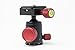 Colorado Tripod Company - Mini Tripod Ballhead 20lb Load Capacity for Monopod, Slider, Digital Cameras-Arca Clamp with 40mm Universal Arca Plate-Red
