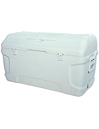 Igloo Maxcold de contorno enfriador, 165 Quart 156