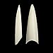 beYou 2Pack Natutal/Clear 2 Color Long Stiletto 1000 Gel Nail Tips(Clear 500tips/ Natural 500tips) 10Sizes,Long Ballerina Nails, Acrylic Nail Tips For Nail Salon 28500 (Long Stiletto)