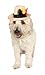 Rubie's Fedora with Feather Pet Costume Accessory, Small/Medium