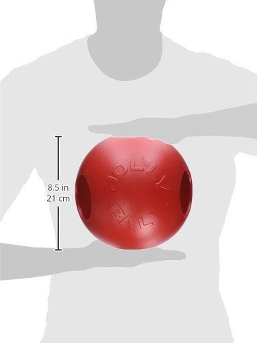 Horsemens Pride BC038490 Teaser Ball, 8-Inch (Color may vary)