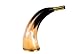Buddha4all Sounding Bugle Horn blowing Viking Norse Medieval 9 inches Large Polished Horn Shofar with Wide Bend Natural Colors Medium Yemenite Horn Natural Finish Shofar Traditional Handcraft Horn