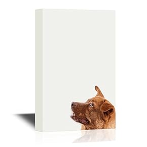Peekaboo Animals Canvas Wall Art - A Dog - Gallery Wrap Modern Home Art | Ready to Hang - 12x18 inches