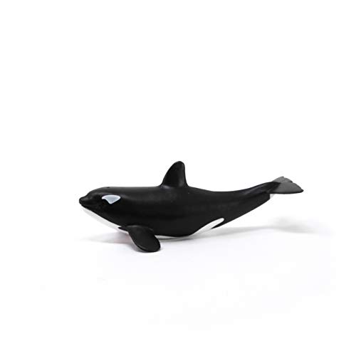 schleich 14836 Orka Junges, für Kinder ab 3+ Jahren, WILD LIFE - Spielfigur, Black – Bild 5