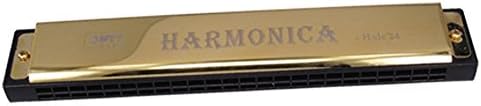 Gtaertag child Exercise 24 Holes Harmonica ，Tremolo ，Key of C (Gold)