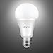 Aglaia LED Light Bulb 9W with E26 Base, 75 Watt Equivalent, A19 LED Globe Bulb with 850LM and 6500K Cool White