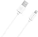 Stalion USB Charger and Sync Cable for iPad Air 2,iPad Mini 4,iPad Pro, iPad 4, iPod Touch 5/6, iPod Nano 7 - 3.3 Feet -  White (Apple MFi Certified)