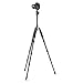 Amazon Basics 63-Inch Lightweight Aluminum Travel Tripod/Monopod with Bag