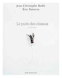 Le  Puits des oiseaux