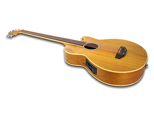 2 Fretless+String+Acoustic+Electric+Cutaway