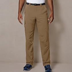 Columbia Men's Silver Ridge Cargo Pant, Delta, 40W