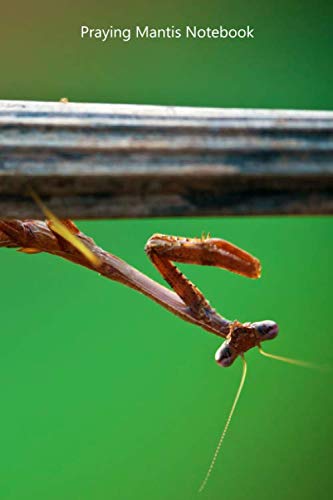 Praying Mantis Notebook: Portable lined Praying Mantis - Travel Journal to write in - 120 pages - 6"x9"