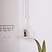 SWISSELITE Glass Hanging Planters Hanging Glass Terrariums, Plant Terrariums Set (3 Pack Water-Drop)