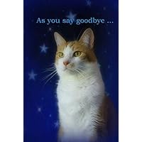 Snarky By Nature Greetings Pet Cat Sympathy Card Set of 6