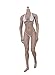 Phicen 1/6 Muscular Female Seamless Body Super Flexible Figure PLMB2017-S23B
