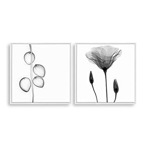 2 Piece Framed Canvas Home Artwork Decoration Transparent Flower Canvas Wall Art for Living Room, Bedroom - 16"x16"x2 Panels