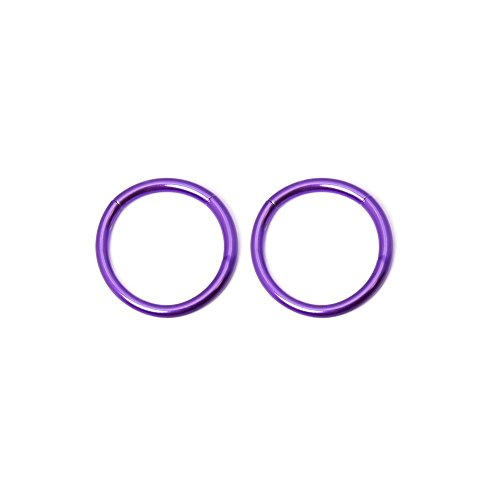 2pc - 16ga-3/8"(10mm) Seemless Segment Ring I.p. Coated 316l Surgical Steel Great for Nose, Ears, Septum, Eyebrow, Cartilage, Lip - Purple By Eg Gifts Sold in Pairs