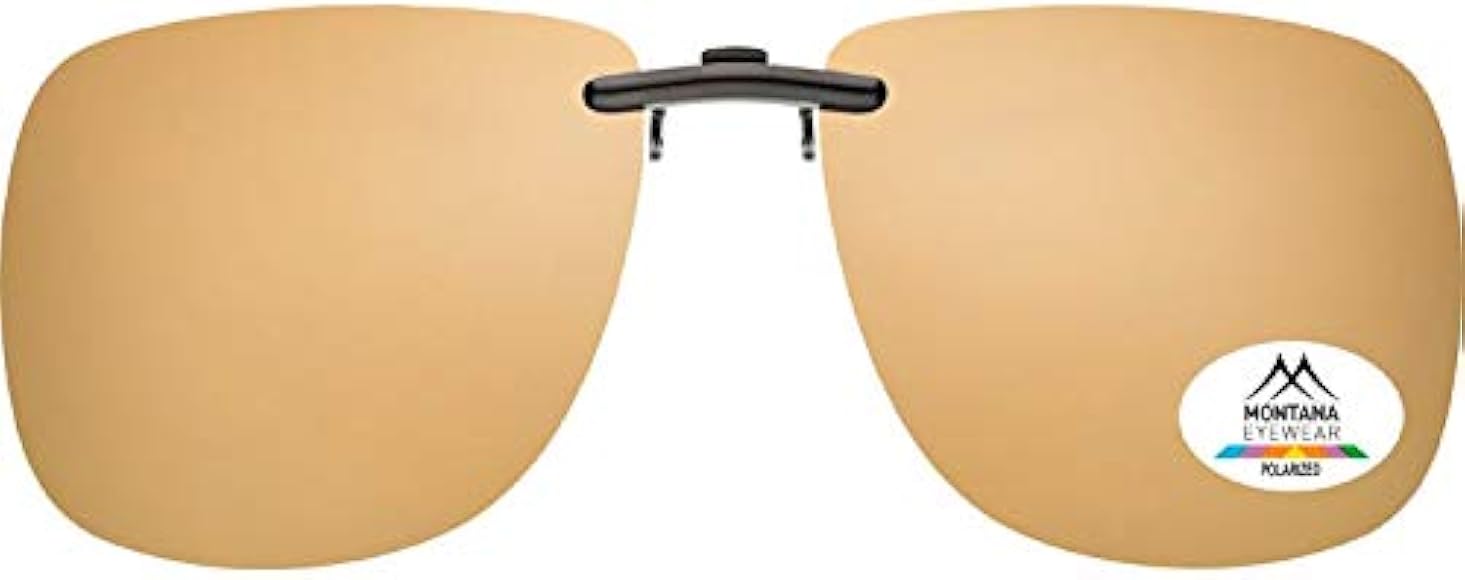 revo sunglasses hard case