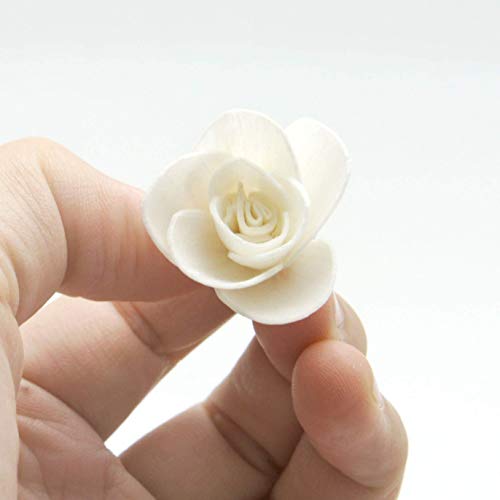 Plawanature Set of 20 Miniature Rose 1" Sola Flower with Reed Diffuser Replacement for Home Fragrance.