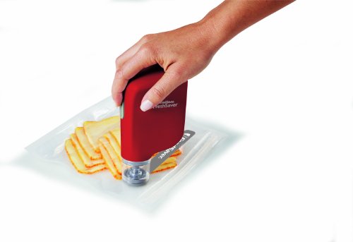 FoodSaver-FreshSaver-Handheld-Vacuum-Sealing-System FoodSaver-FreshSaver-Handheld-Vacuum-Sealing-System