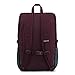 Jansport Urban Hatchet Backpack (Dried Fig/Grey Horizon)