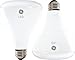 GE Lighting 22726 LED 10-Watt (65-Watt Replacement), 700-Lumen R30 Floodlight with Medium Base, Daylight, 2-Pack primary