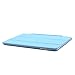 BESDATA Ultra Thin Magnetic Smart Cover for Apple iPad Mini 1st Generation [Wake/Sleep Function] Translucent Back Case + Screen Protector + Cleaning Cloth + Stylus (Sky Blue)